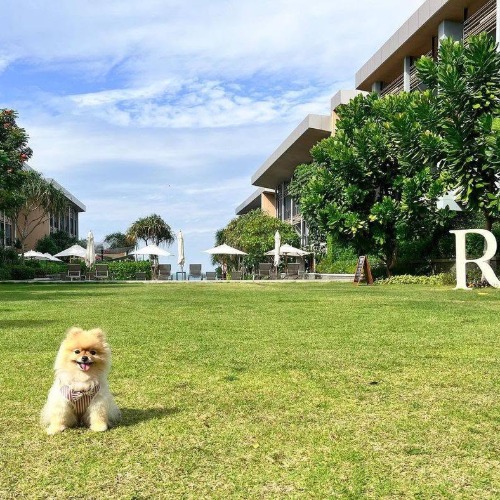 Renaissance Pattaya Resort & Spa